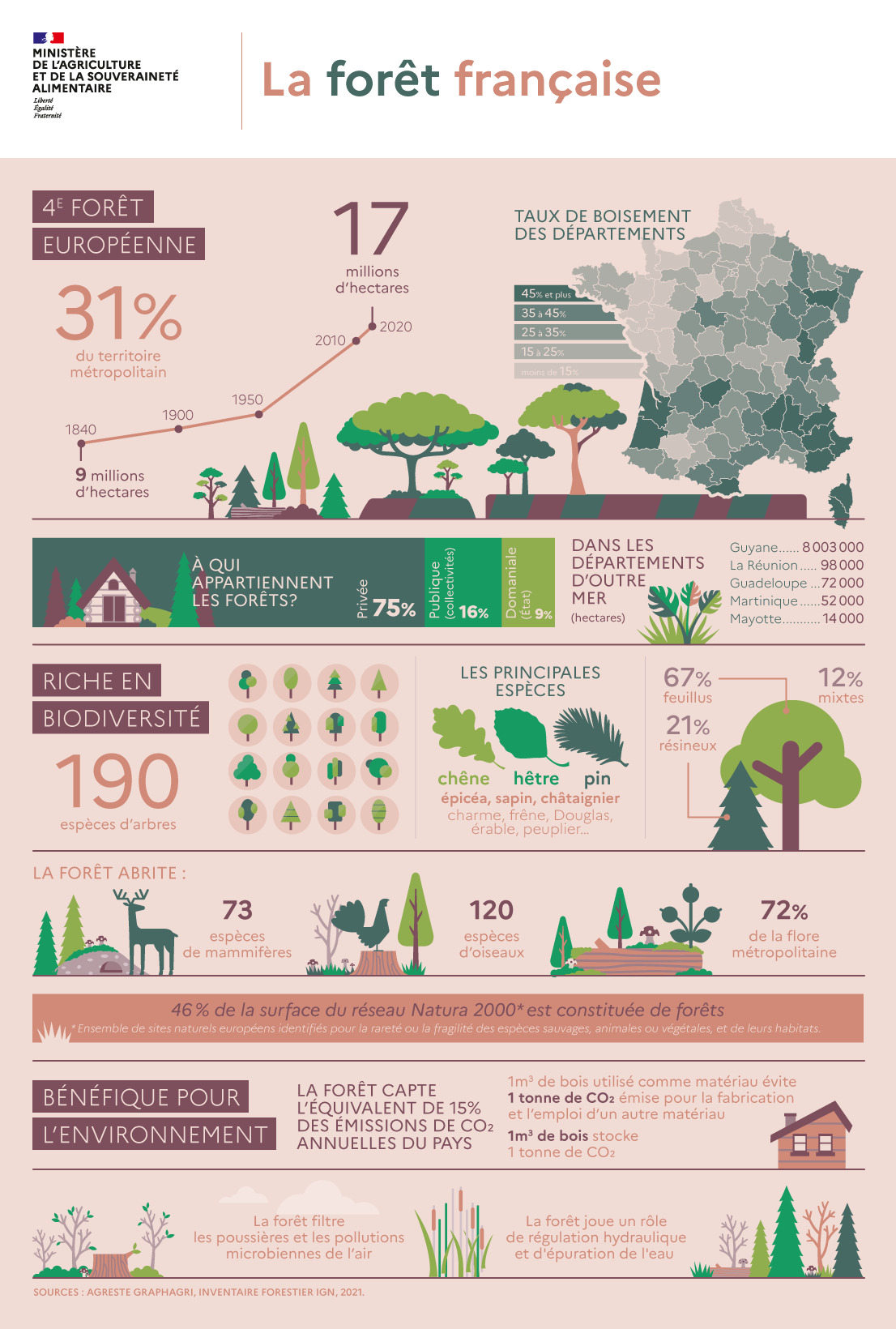 infographie forêt française