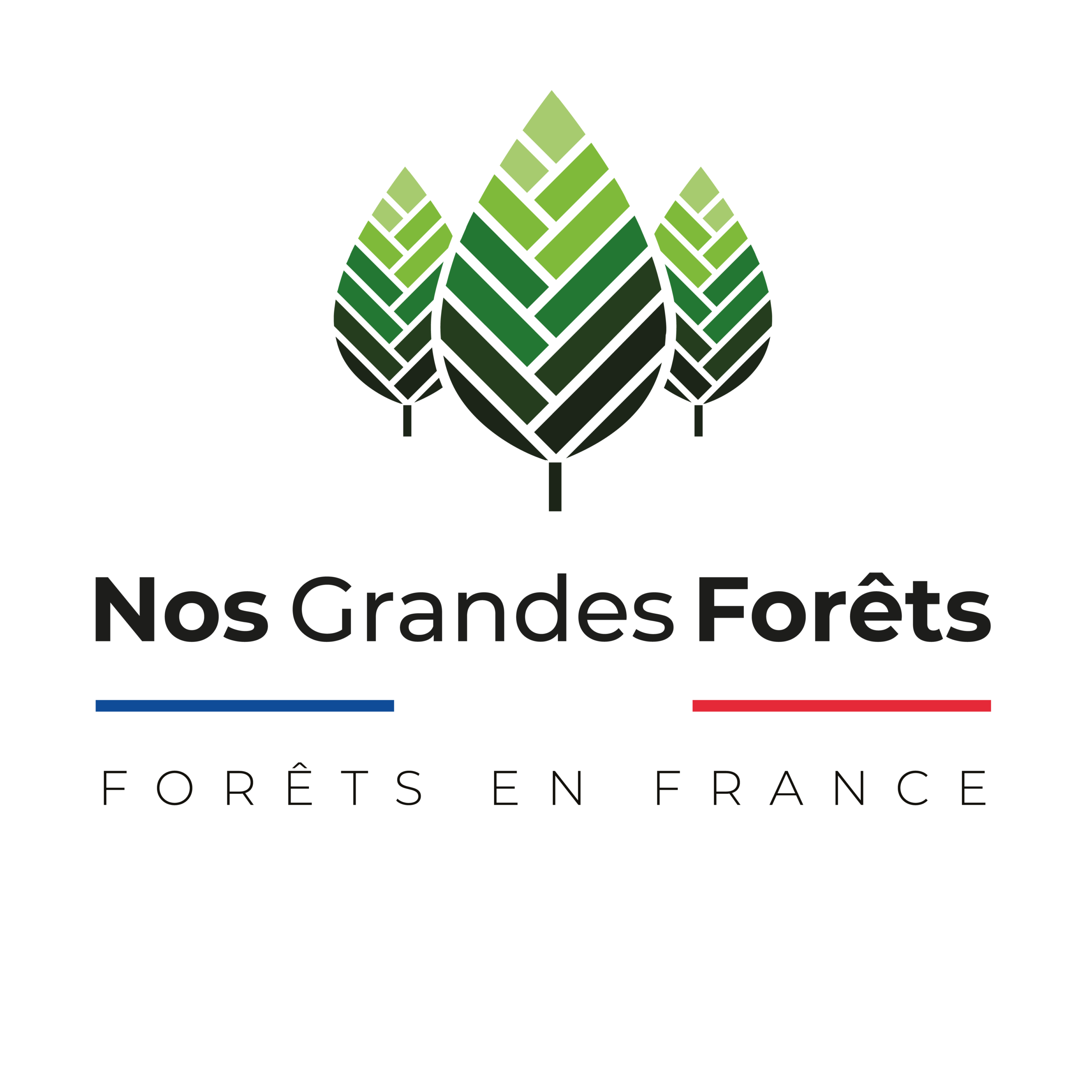 Logo NGF_Plan de travail 1 copie 15