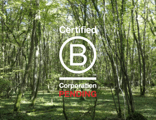 Nos Grandes Forêt : en route pour l’obtention de la certification B-corp