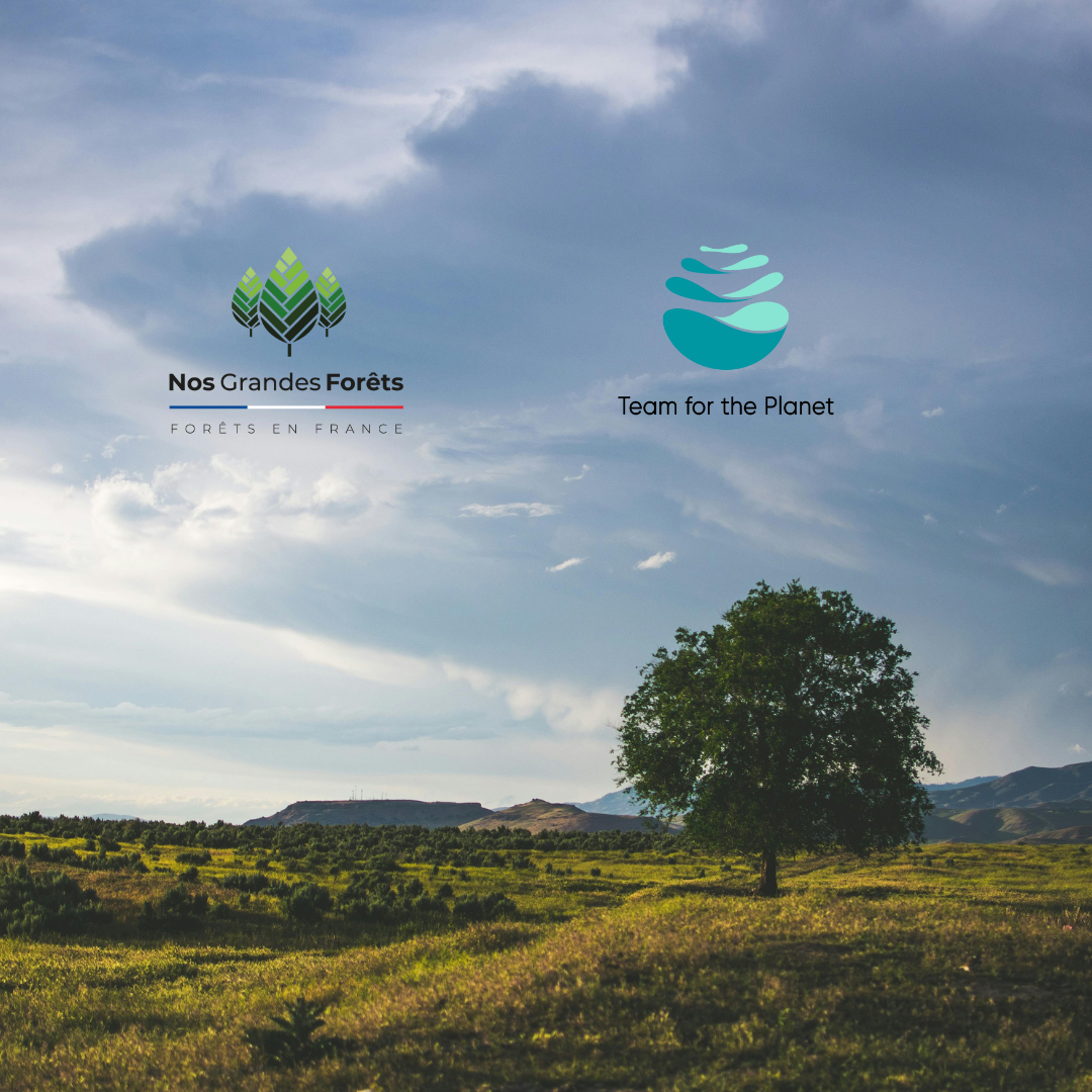 team for the planet et nos grandes forêts