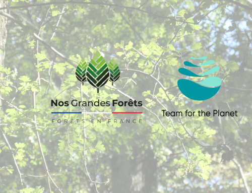 Nos Grandes Forêts, partenaire de Team for the Planet pour le climat