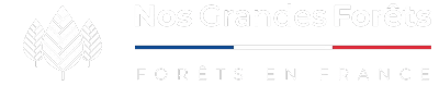Nos Grandes Forêts Logo