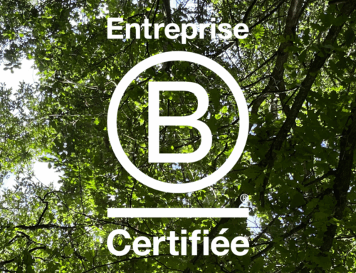 Nos Grandes Forêts devient B Corp : un cap franchi pour l’impact positif !